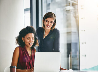 Poster - This is definitely a foolproof plan. two businesswomen working together on a laptop in an office.