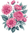watercolor illustration of spring pink Dahlia flower