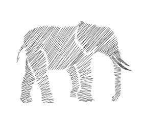 Continuous one line drawing of elephant . Big elephant scribble - single line art vector illustration. Editable stroke.