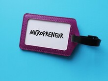 Purple card on blue background with text written Micropreneur, individual who starts a very small business operation which start and staying small ,not interested in growth