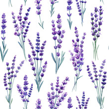 Violet Flowers. Wildflower Lavender Hand Drawing, Flower Watercolor Style. Floral Seamless Pattern, Wrapper.