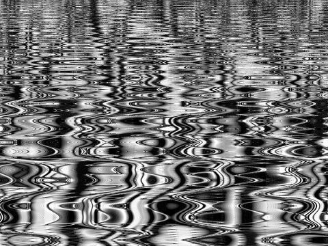 Fractal complex black white patterns - Mandelbrot set detail, digital artwork for creative graphic