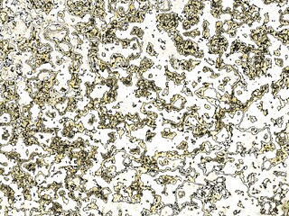 Leinwandbilder - Fractal complex patterns - Mandelbrot set detail, digital artwork for creative graphic
