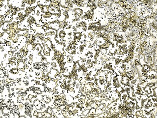 Leinwandbilder - Fractal complex patterns - Mandelbrot set detail, digital artwork for creative graphic
