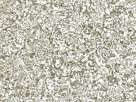 Fractal complex patterns - Mandelbrot set detail, digital artwork for creative graphic