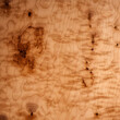 © h3bs - birdseye maple wood texture style 2