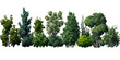 © Dea - shrubs vector for architectural render