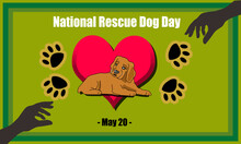 A Poor Brown Dog Sitting Against A Pink Love Background, With 4 Dog Footprints And 2 Hands Silhouetted In The Frame. Commemorate NATIONAL RESCUE DOG DAY – May 20