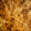 olive ash burl wood texture