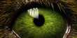 Green animal eye close up shot made with generative AI