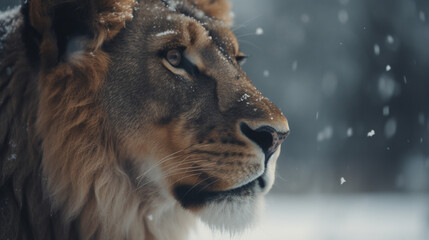 Sticker - Lion in the snow Generative AI 