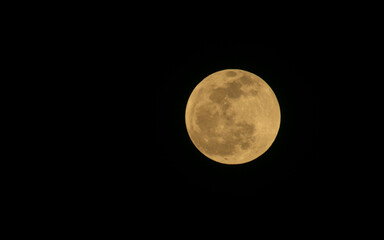 Wall Mural - full moon in the night