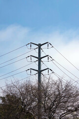 Wall Mural - Landscape  with electricity pylon and power lines