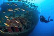 scuba diver observing schools of fish swimming around wreck, created with generative ai