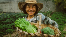 Happy Southeast Asian Woman Working Inside Agricultural Land - Farm People Lifestyle Concept