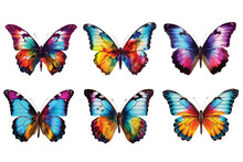 Colorful Butterflies Set Isolated Vector