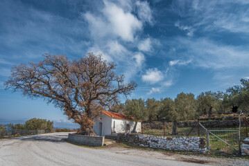 Wall Mural - various views from different points of lesbos island