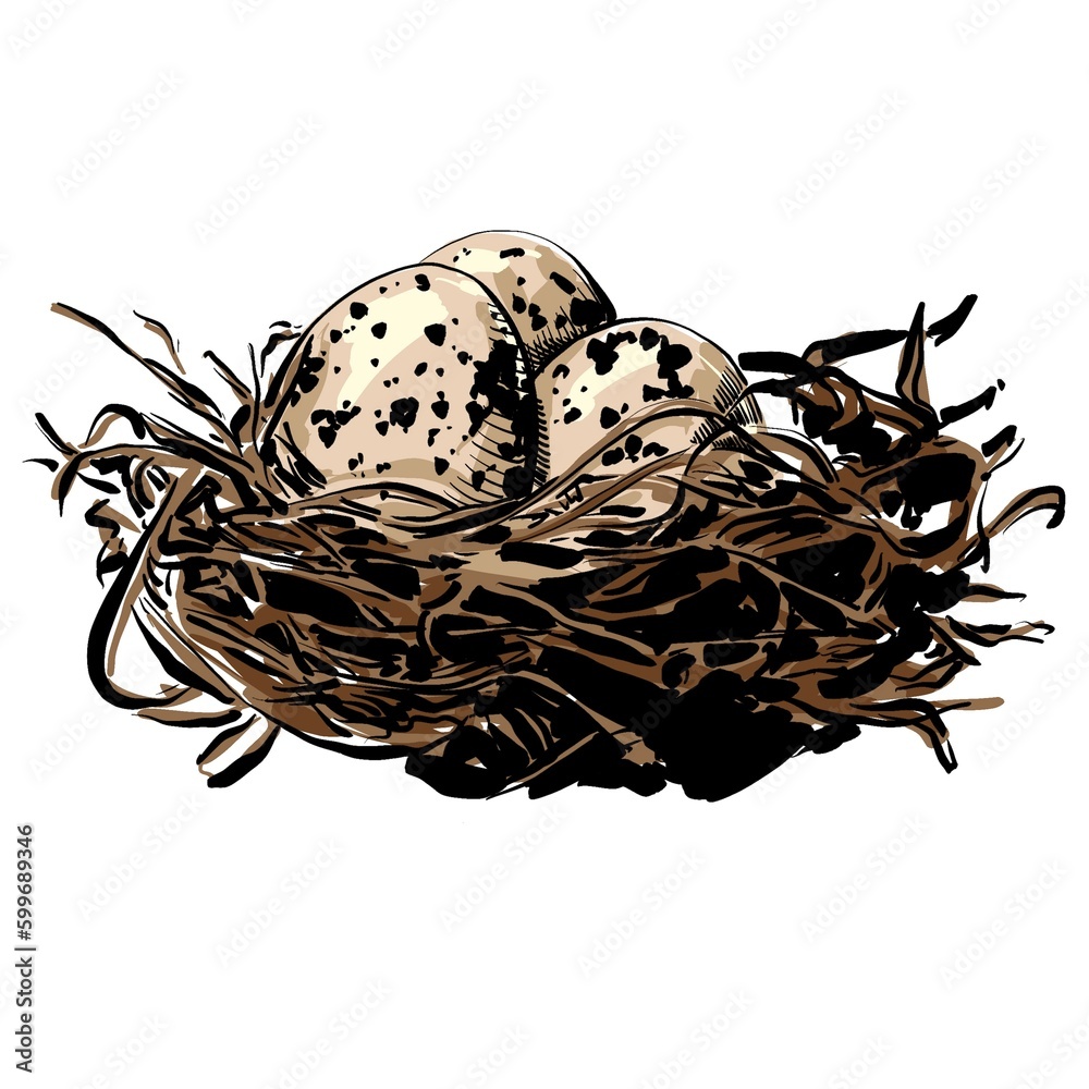 bird's nest with beige eggs illustration. isolated black and white hand ...