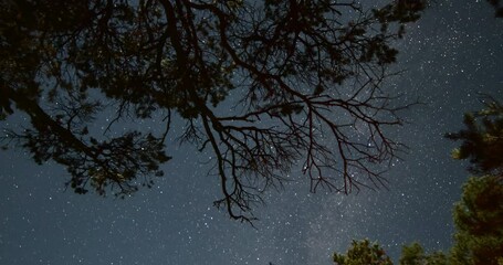 Wall Mural - Timelapse Panning Of The Night Sky With Stars And The Milky Way With An Approaching Sunrise - Telluride, Colorado
