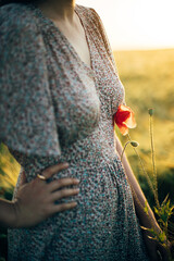 Wall Mural - Beautiful poppy flower at woman in floral dress close up in barley field in sunset light. Stylish female relaxing in evening summer countryside and gathering flowers. Atmospheric tranquil moment