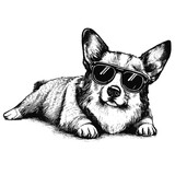 Fototapeta Fototapety na ścianę do pokoju dziecięcego - laying corgi wearing sunglasses illustration, laying dog sketch