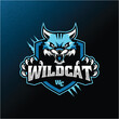 wildcat mascot