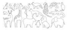 Animal Cute Doodle Linear Set. Hare And Parrot, Squirrel, Frog, Giraffe. Panda And Bear Penguin. Mammals Animals Characters For Baby Card. Deer Cat Turtle Fox Lion Tiger Outline Design Collection