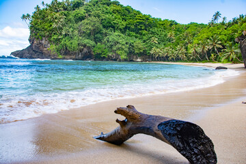 Wall Mural - Beautiful ocean, driftwood on the beach and waves, at Fogoma`a in Fagatele bay, American Samoa