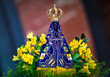 © Braulio Couto - Nossa Senhora Aparecida do Brasil