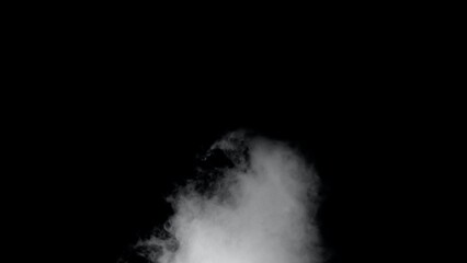 Wall Mural - white smoke or fog isolated on black background.