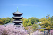 [愛知県]名古屋市の八事山興正寺と桜