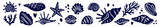 Fototapeta Fototapety na ścianę do pokoju dziecięcego - Vector collection of hand-drawn seashells in doodle style