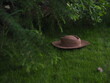 Słomiana kapelusz w ogrodzie Straw hat in the garden