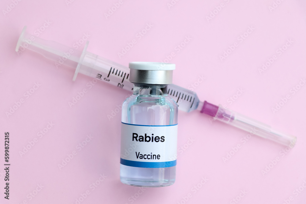 Rabies Injection Items Rabies vaccine in a vial, immunization and treatment of infection Stock ...