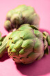 Fresh green artichokes isolated on pink background