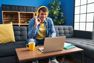 Sticker - Young hispanic man using laptop at home doing ok sign with fingers, smiling friendly gesturing excellent symbol