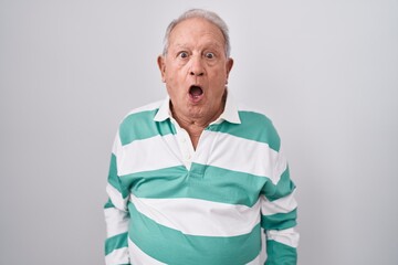 Poster - Senior man with grey hair standing over white background in shock face, looking skeptical and sarcastic, surprised with open mouth