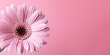 Fototapeta Kwiaty - Pink Flower wallpaper, backgroung