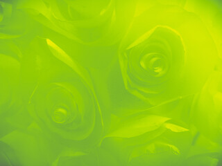 Wall Mural - Beautiful abstract green flowers on white background, yellow flower frame, green leaves texture, green background, dark theme, green leaves texture, flowers for Christmas and Valentine celebrations