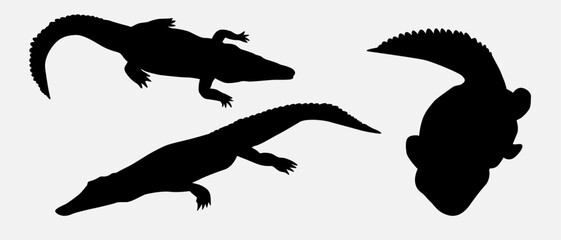 isolated black silhouette of a crocodile , vector collection