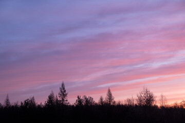 Wall Mural - Majestic sunrise dramatic skyscape. Amazing clouds with violet light of nature