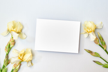 Wall Mural - mockup white greeting card with yellow irises on a light background