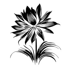 Vector Illustration Of One Black Sunflower Flower Isolated On A White Background