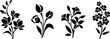 Set of flowers. Black silhouettes of flowers (freesia, tulips, alstroemeria, and forget-me-not flowers) isolated on a white background. Vector illustration