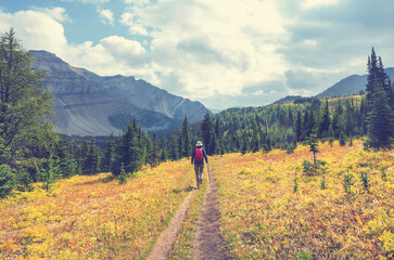 Sticker - Autumn in Canada