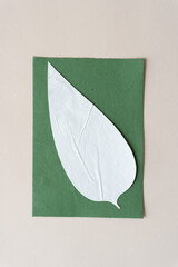 Canvas Print - isolated freehand cut paper leaf on green card and beige paper