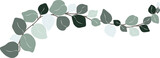 Fototapeta  - Eucalyptus leaf hand drawn vector