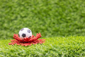 This soccer ball, adorned with a snowflake, sits on green grass, making it the perfect holiday photo. Whether you're a soccer fan or not, this ball is sure to bring some holiday cheer.