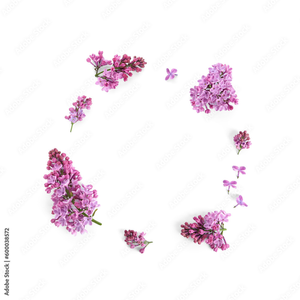 Frame made of blooming lilac flowers on white background