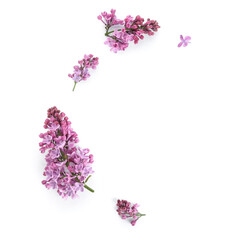  Frame made of blooming lilac flowers on white background